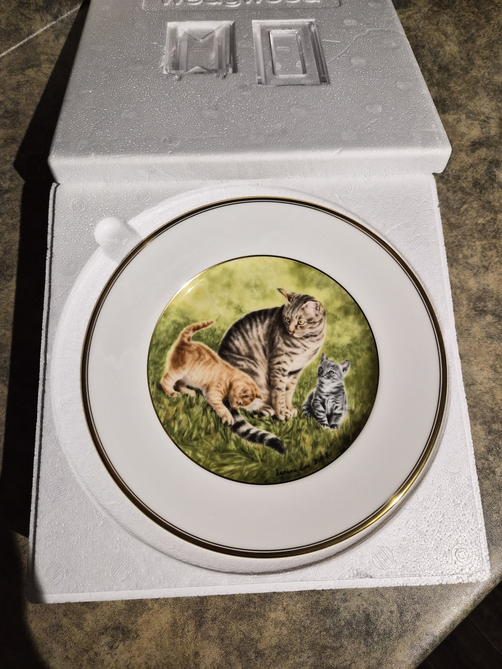 Wedgwood White Porcelain Plate "Family At Play"